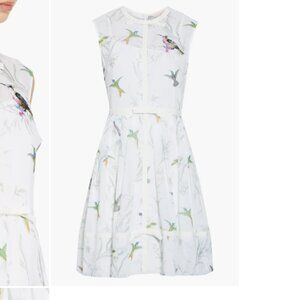 Ted Baker Aleksa Fortune Fit & Flare Dress